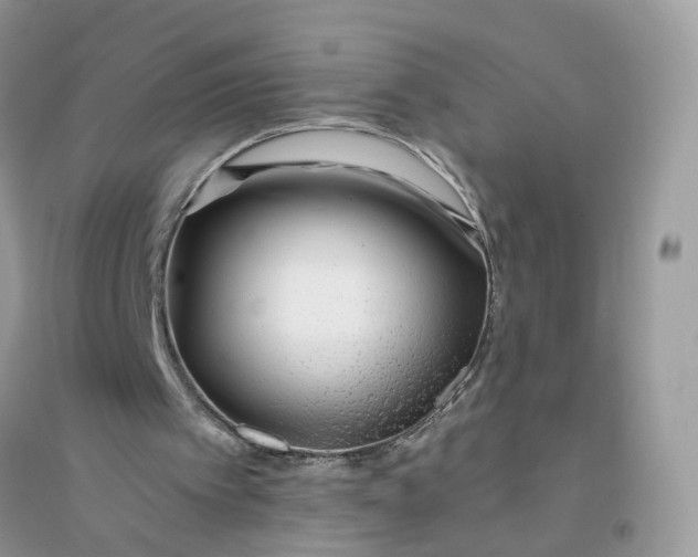 X0000096140097200802011219