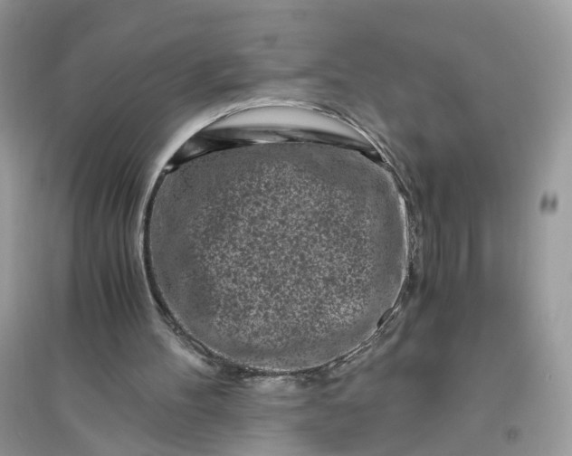 X0000096140100200802011219