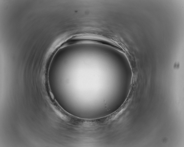 X0000096140101200802011219