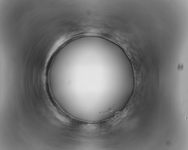 X0000096140102200802011219