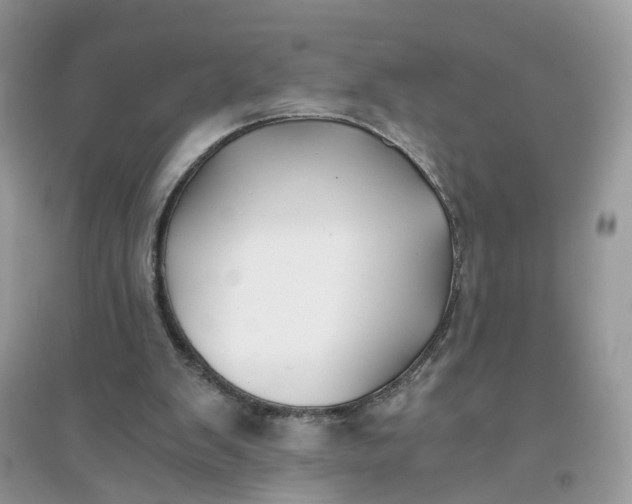 X0000096140103200802011219