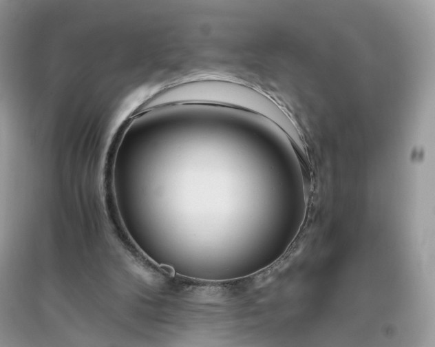 X0000096140104200802011219