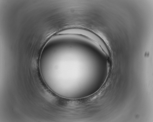 X0000096140105200802011219