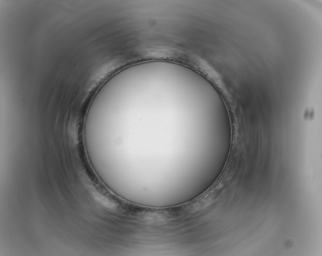 X0000096140106200802011219