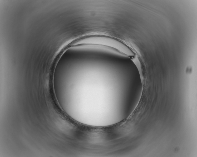 X0000096140108200802011219