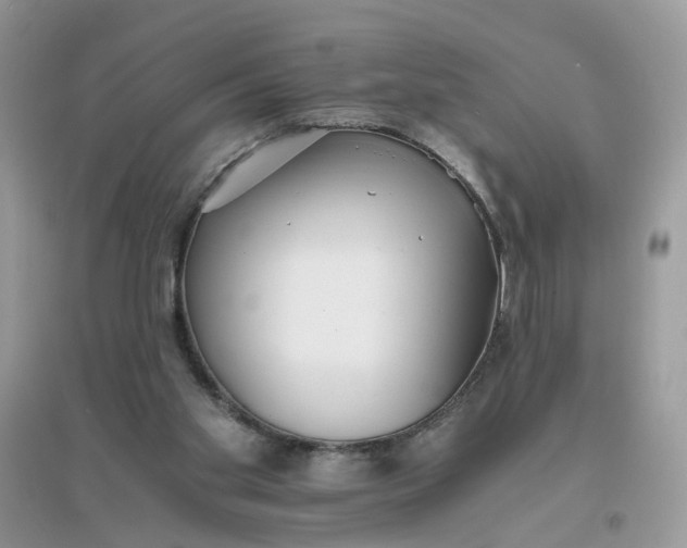 X0000096140109200802011219