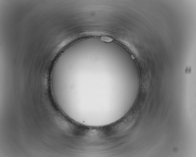 X0000096140111200802011219