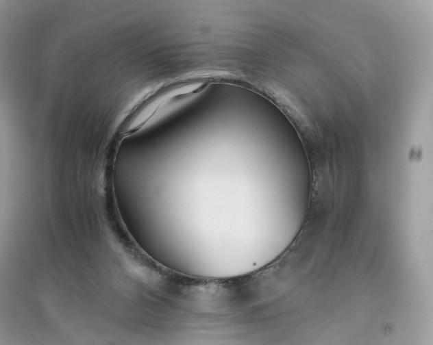 X0000096140112200802011219
