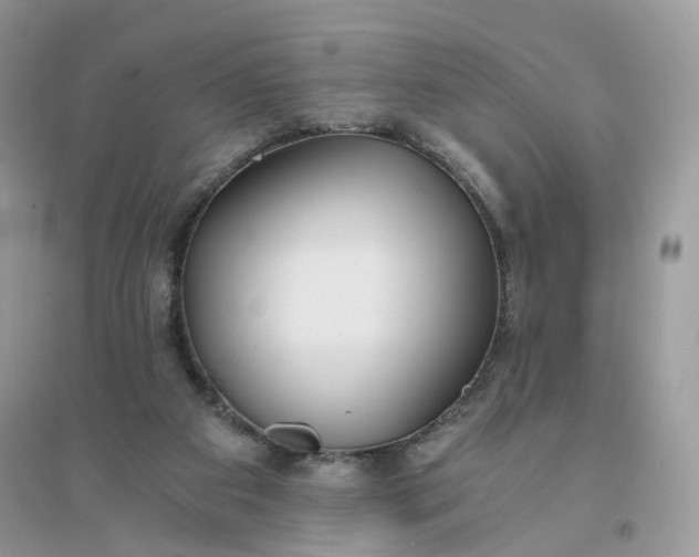 X0000096140113200802011219
