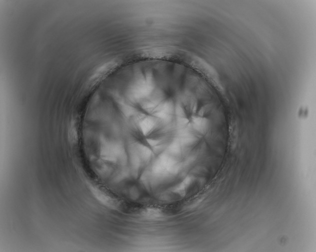 X0000096140114200802011219