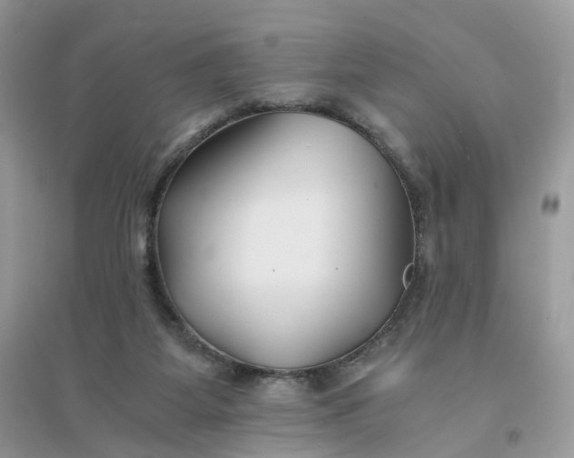 X0000096140115200802011219