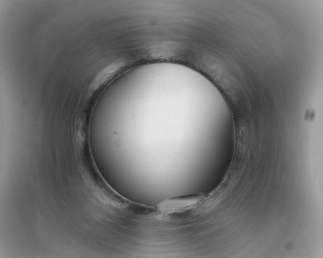 X0000096140116200802011219