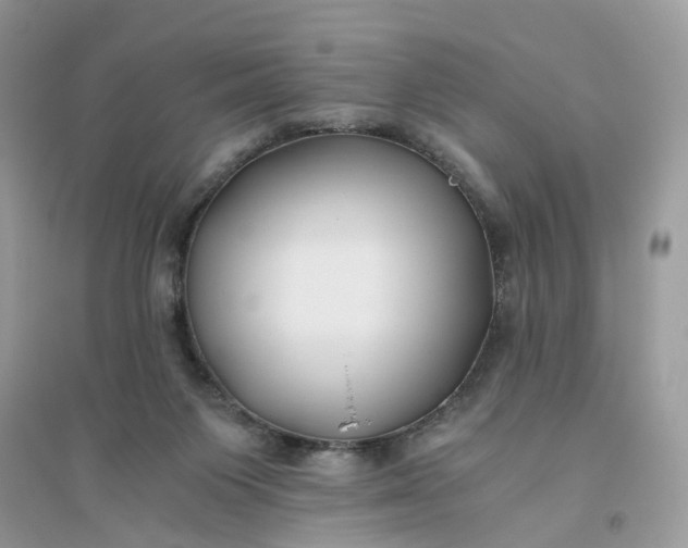 X0000096140119200802011219