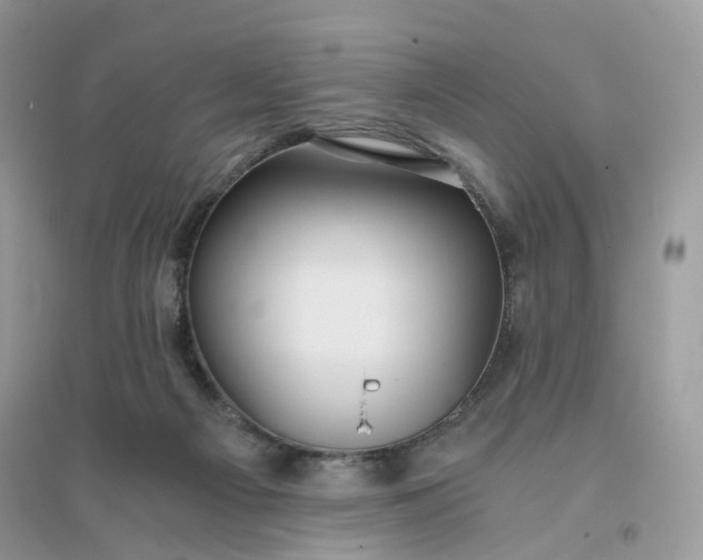 X0000096140121200802011219