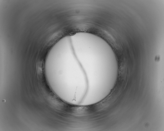 X0000096140122200802011219