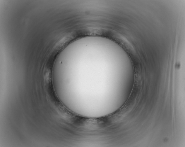 X0000096140123200802011219