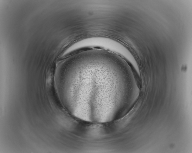X0000096140124200802011219