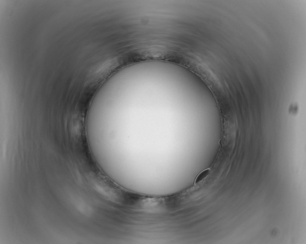 X0000096140126200802011219