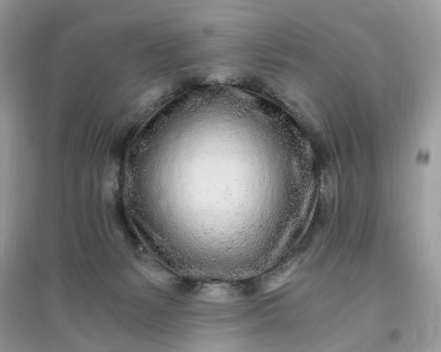 X0000096140127200802011219