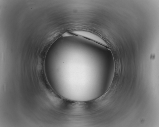X0000096140128200802011219