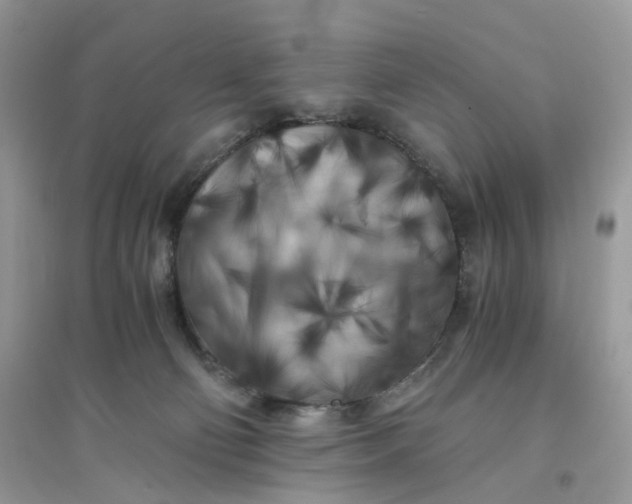 X0000096140130200802011219