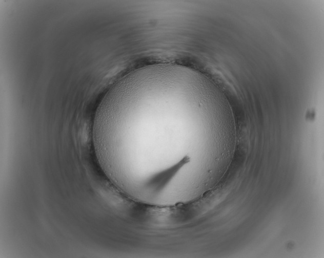 X0000096140131200802011219