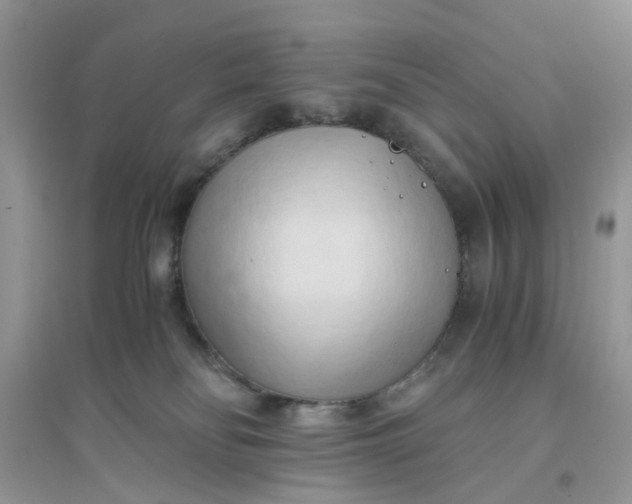 X0000096140134200802011219