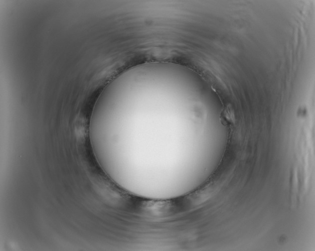 X0000096140135200802011219