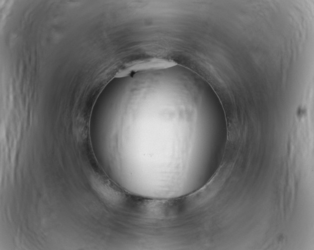 X0000096140136200802011219
