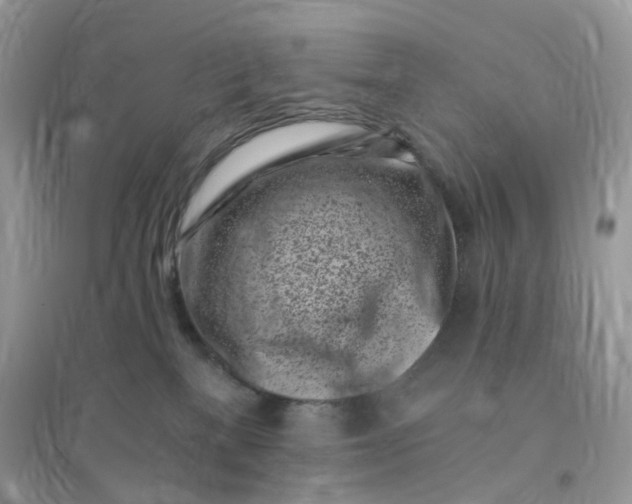 X0000096140137200802011219