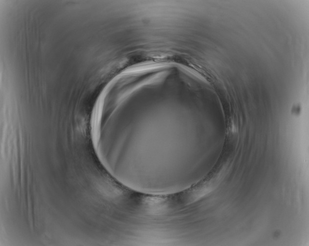 X0000096140139200802011219