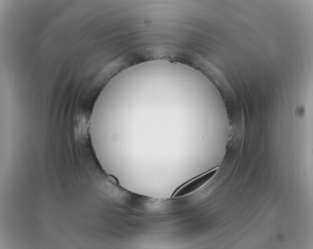 X0000096140142200802011219