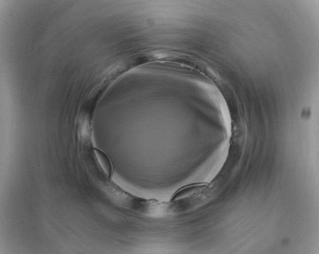 X0000096140143200802011219