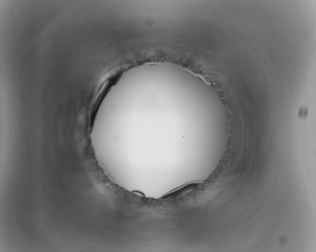 X0000096140144200802011219