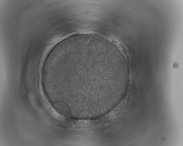 X0000096140145200802011218