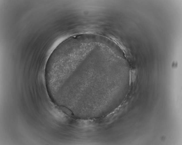 X0000096140147200802011218
