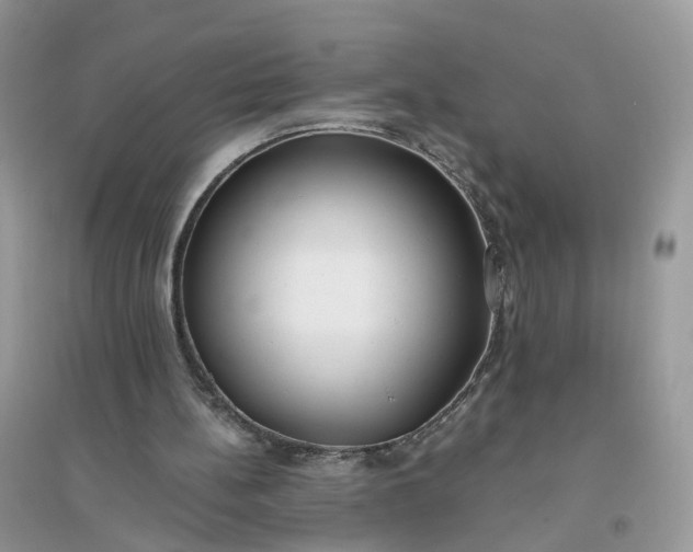 X0000096140148200802011218