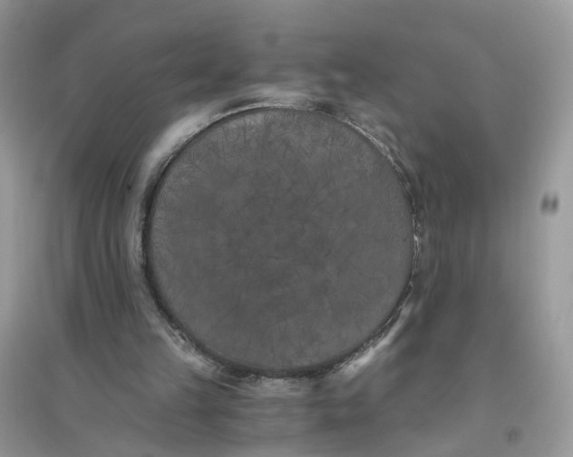 X0000096140149200802011218