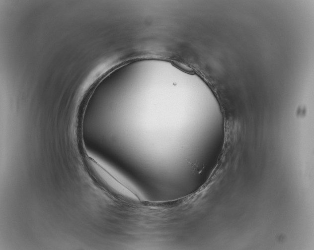 X0000096140150200802011218