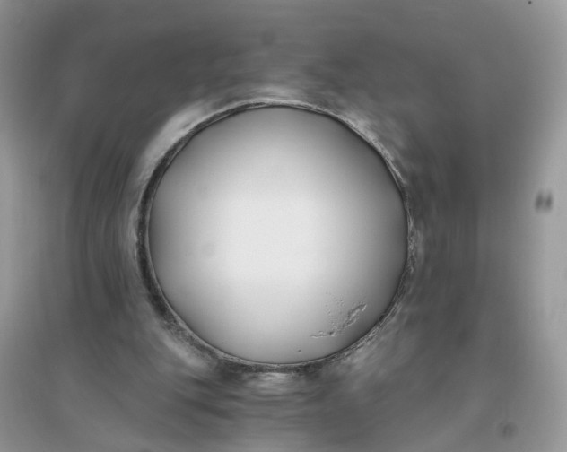 X0000096140151200802011218
