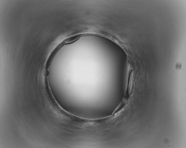 X0000096140152200802011218