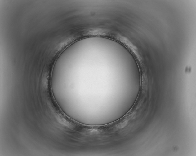 X0000096140153200802011218