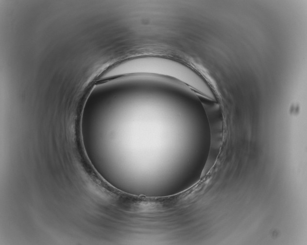 X0000096140154200802011218