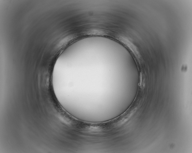 X0000096140157200802011218