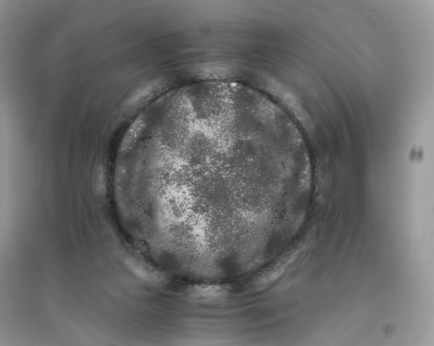 X0000096140161200802011218