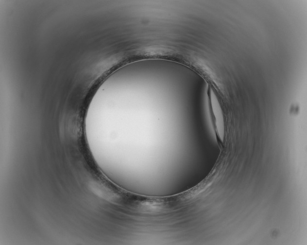 X0000096140164200802011218