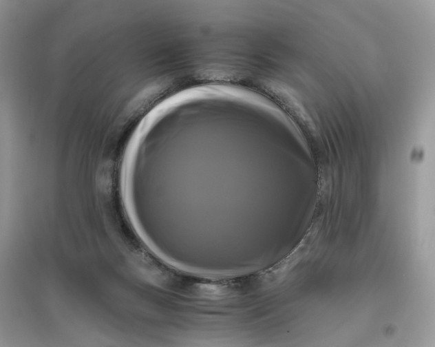 X0000096140167200802011218
