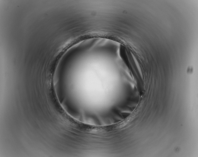 X0000096140168200802011218