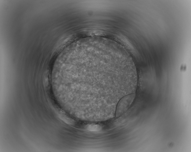 X0000096140169200802011218