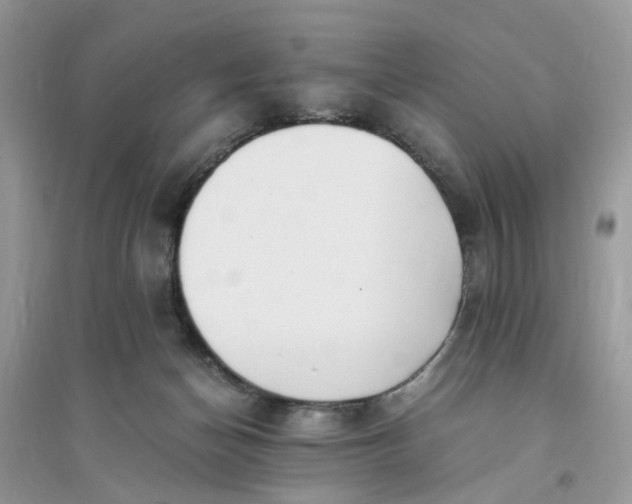 X0000096140174200802011218